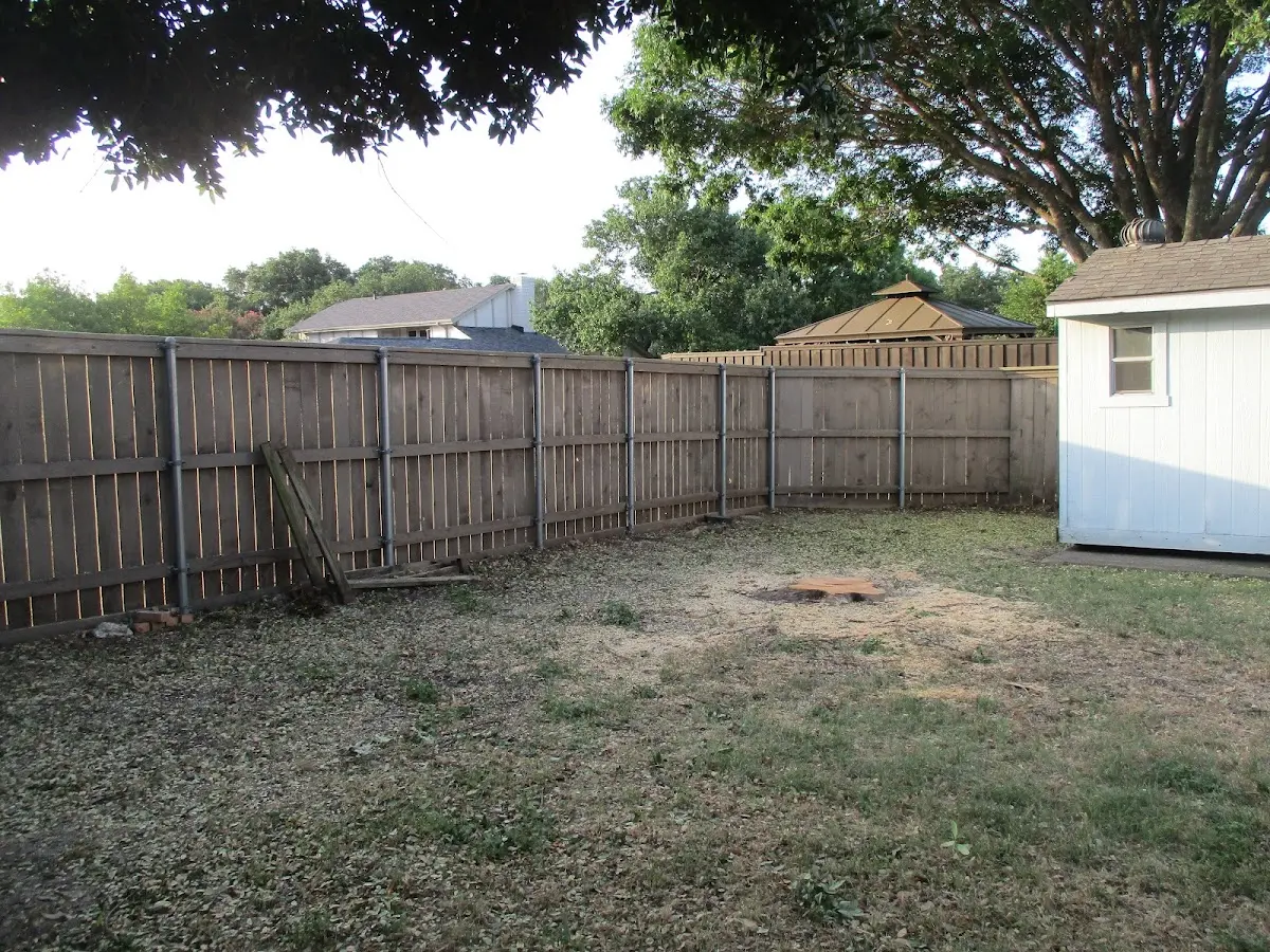 Cleared yard after professional tree removal in Summerville